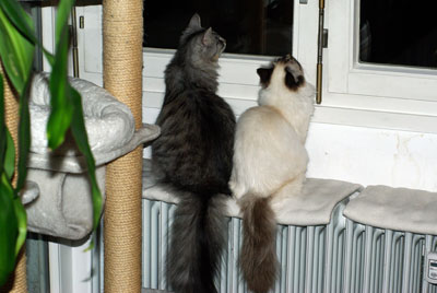 Neele und Elli